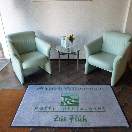 Hotel Zur Flueh Бад-Зекинген Экстерьер фото