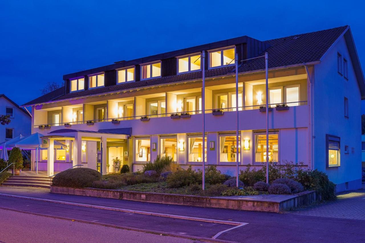 Hotel Zur Flueh Бад-Зекинген Экстерьер фото