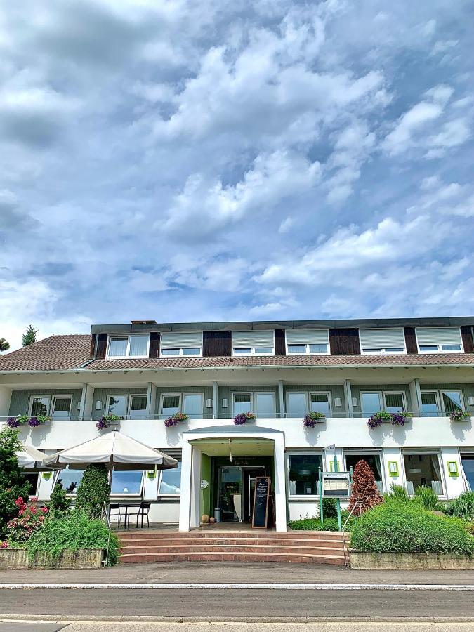Hotel Zur Flueh Бад-Зекинген Экстерьер фото